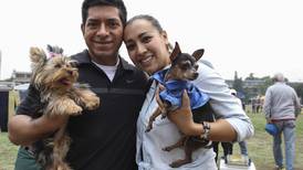 Jornada de medicina veterinaria en la UNAM: ¿Cuándo es y qué servicios habrá para perros y gatos?