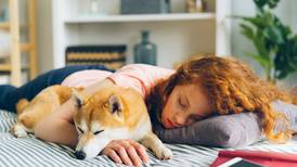 Justo en el corazón: Por estas razones deberías dejar de dormir con tu mascota
