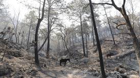 Incendio forestal en Sierra de Santiago, Nuevo León, otra vez fuera de control