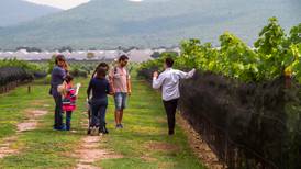 Ruta del Queso y el Vino en Querétaro llegará a un millón de visitantes 