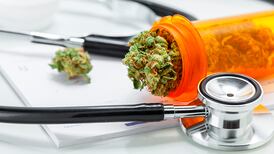 La mariguana podría ser alternativa para combatir la crisis de opioides