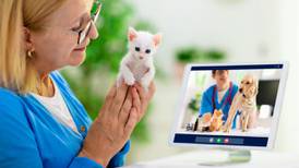 Telemedicina más allá de los humanos: consultas virtuales cuidan también de las mascotas