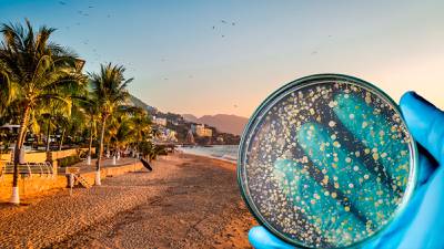 Enterococos en playas de México: Así afecta nadar en aguas contaminadas
