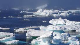 Deshielo del Círculo Polar Ártico pone en peligro a industria maderera