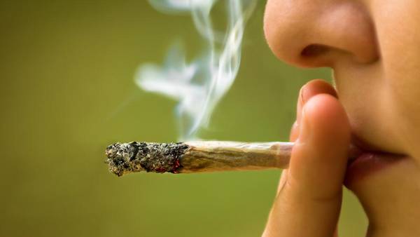 Ya puedes fumar mariguana en espacios públicos en Oaxaca; ayuntamiento aprueba permiso
