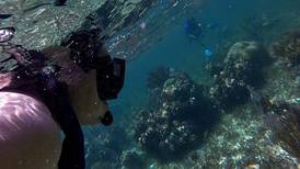 Quintana Roo, primera entidad en el mundo en asegurar sus arrecifes y playas
