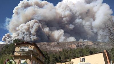 Se registra incendio en la zona serrana de Arteaga, Coahuila