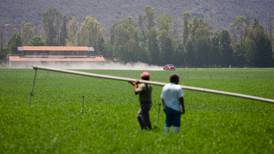 Botanas con extracto de alfalfa, la opción saludable creada por alumnos mexicanos