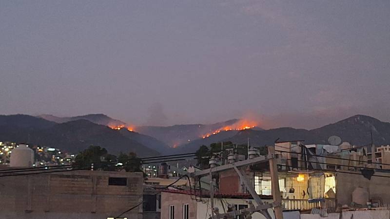 Las autoridades hallaron indicios sobre la intervención humana en los incendios forestales en Acapulco (Foto: El Financiero|Darío Lagunas)