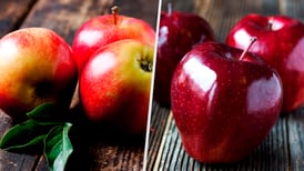 'Red delicious' ya no es la manzana favorita en EU luego de 50 años de reinado