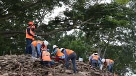 Tren Maya: avanzan obras con retos como cuidado del medioambiente y ruinas arqueológicas 