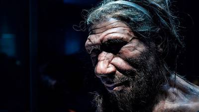 ¿ADN neandertal aumenta riesgo de COVID grave? Sí, pero reduce riesgo de contraer VIH