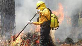 Incendios forestales en México: ¿Cuáles son los que están activos? 