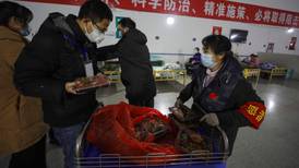 Gobierno repatria a tres mexicanos de Wuhan, ciudad 'origen' del coronavirus 