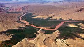 Crisis del agua en EU: Phoenix recibirá menos suministro del río Colorado