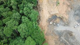 Cuestionan actuar de regulador ambiental por desmonte de selva y manglar para nueva refinería