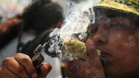#420day: ¿En qué va la legalización de la marihuana en México? 