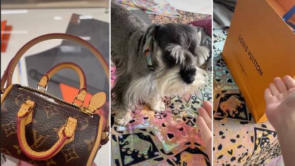 Un 'tiktoker' compra un bolso de Louis Vuitton de más de 900 euros para  recoger las cacas de su perro