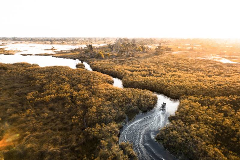 Recorrido por el río Delta Okavango en Botsuana