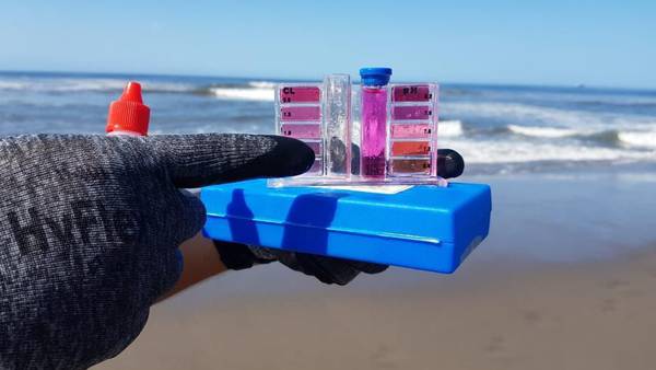 Rumbo a Semana Santa: Cofepris analiza si la playa de tus vacaciones está limpia