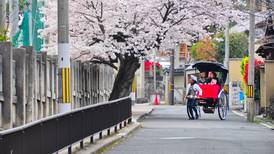 Primavera al estilo Japón, la mejor temporada para visitar este país