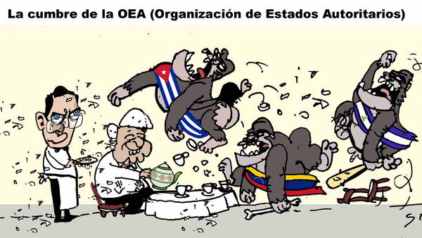 La cumbre de la OEA