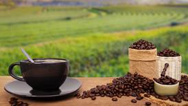 ¿El café podría desaparecer? Estos son los retos que enfrentan sus cultivos