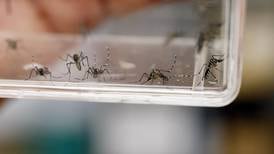 Epidemia de chikungunya en Paraguay: suman 90 muertes y 68 mil contagios