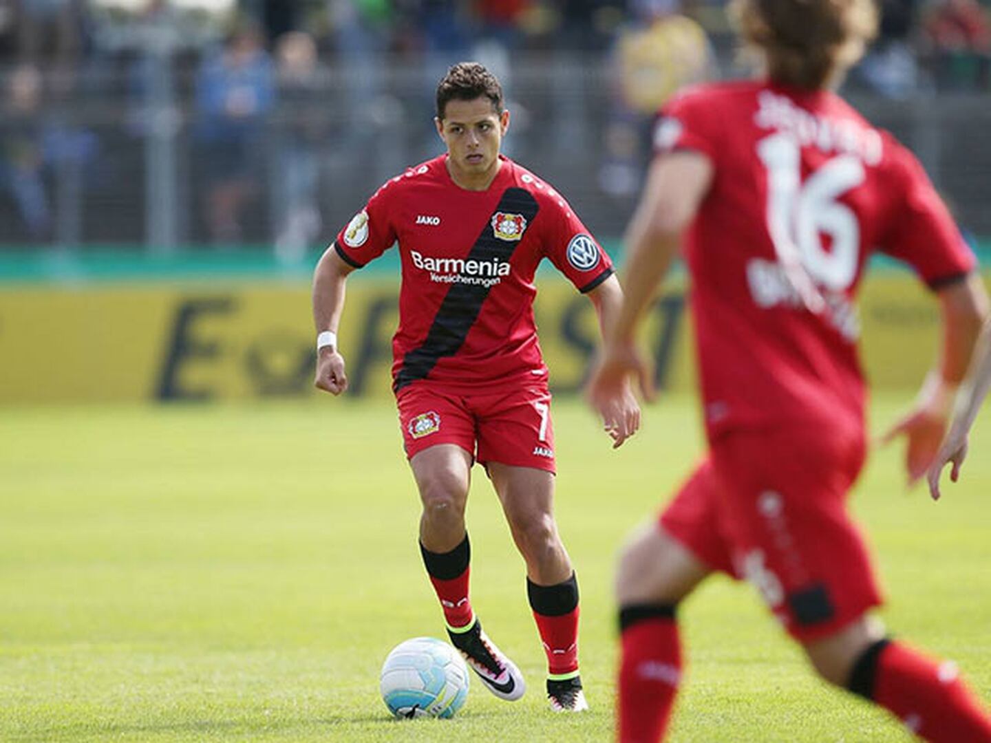 Chicharito comenzó su cuenta goleadora con Bayer Leverkusen