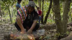 ‘Semilla de Fuego’, documental sobre el cacao, se presentará en el FICUNAM 2023
