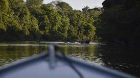 Tribunal en Brasil reabre demanda sobre zona de la selva amazónica; van tras deforestadores
