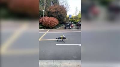 Perro robot vigila las calles en Shanghái durante el confinamiento por COVID