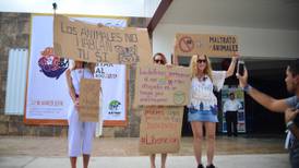 Manifestantes rechazan operación de delfinarios en Cancún 