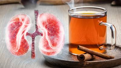 ¿El té de canela ayuda o perjudica a los riñones?