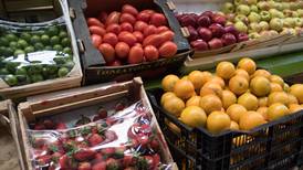 EU se va contra las frutas mexicanas: ¿Por qué legisladores piden investigar importaciones?