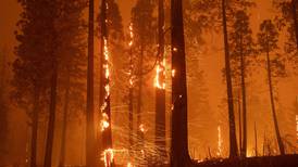 Miles de rayos provocan nuevos incendios forestales en California