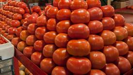 Propuesta de EU sobre comercio de tomate violaría contratos, indican senadoras estadounidenses