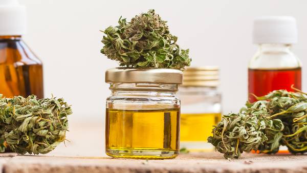 Extractos de la cannabis reducen la posibilidad de enfermar de COVID-19, según estudio