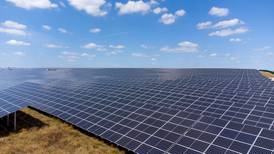 Proyectos fotovoltaicos: energía limpia, rentable y sustentable