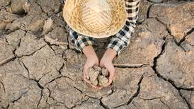 Industrias deben prepararse a largo plazo ante sequías estacionales para garantizar seguridad alimentaria