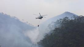 Incendios devastan a México: La sequía severa y el fuego dañan 26 áreas naturales