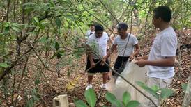 Recogen más de 150 kg de PET, latas, bolsas y vidrio de manglares de Isla Mujeres