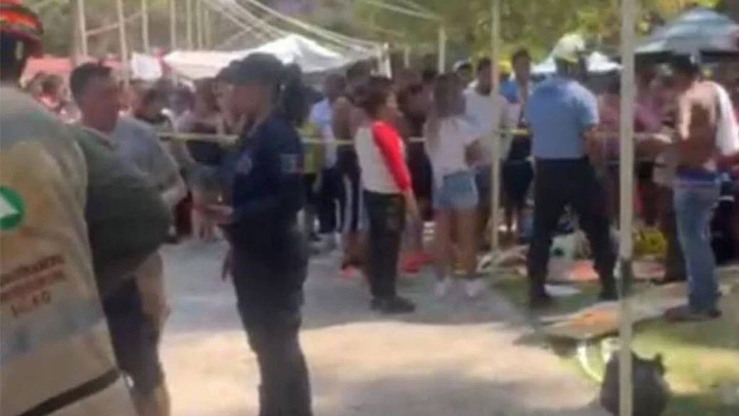 Tragedia en vacaciones: Cae árbol en balneario de Guanajuato; hay 14  heridos y un bebé muerto – El Financiero