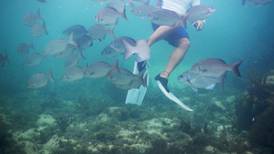 ¿Cómo funciona el seguro de playas y arrecifes de Quintana Roo?