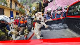 Milagro en el Cerro del Chiquihuite: rescatan con vida a perrita sepultada