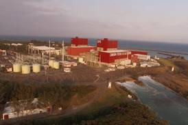 Central Nuclear de Laguna Verde se afianza como segunda fuente generadora de energía en México
