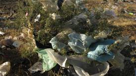 A partir de este año Tamaulipas prohíbe las  bolsas de plástico 