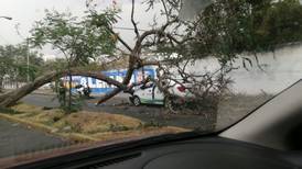 ‘Vientazo’ genera tormenta de arena en la México-Cuernavaca; tira árboles y cables