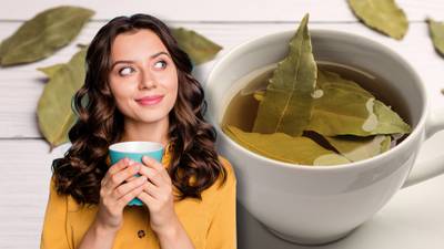 ¿Para qué sirve tomar té de laurel?