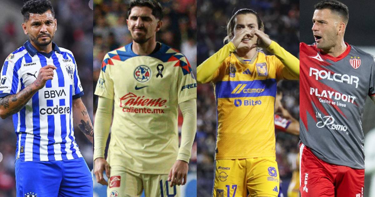 Monterrey, America i Tigres wkrótce zobaczą niepokonaną Necaxę!  – Lis sportowy